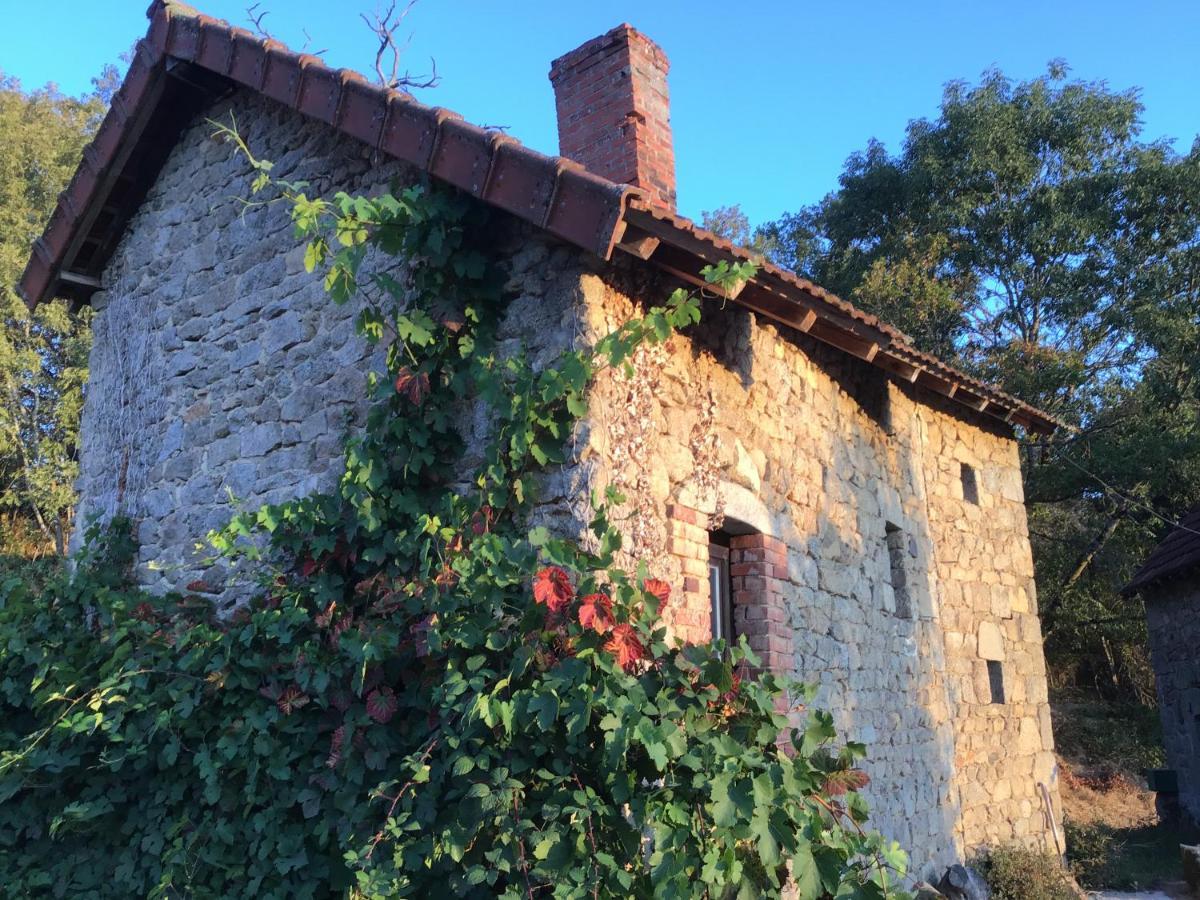 Rougnat Le Noyer B&B 외부 사진